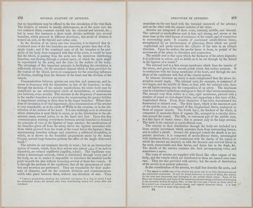 E675 - A System of Human Anatomy - 1857 - 4742-4743