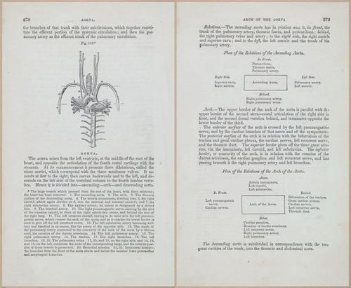 E675 - A System of Human Anatomy - 1857 - 4744-4745