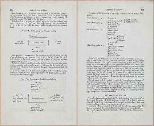 E675 - A System of Human Anatomy - 1857 - 4746-4747