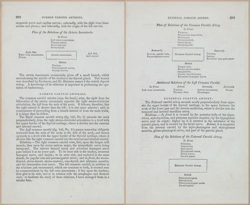 E675 - A System of Human Anatomy - 1857 - 4748-4749