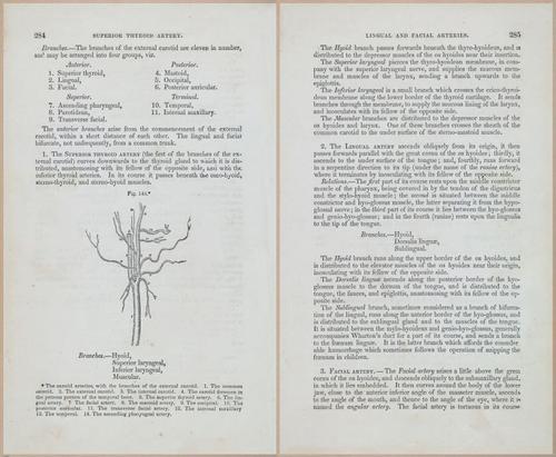 E675 - A System of Human Anatomy - 1857 - 4750-4751