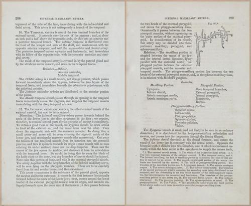 E675 - A System of Human Anatomy - 1857 - 4754-4755