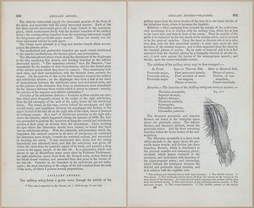E675 - A System of Human Anatomy - 1857 - 4766-4767
