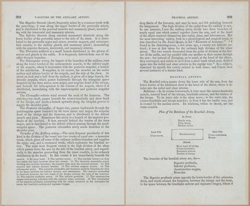 E675 - A System of Human Anatomy - 1857 - 4768-4769