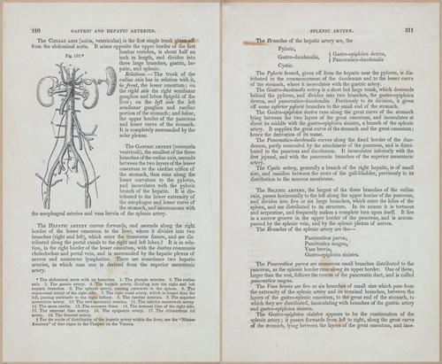 E675 - A System of Human Anatomy - 1857 - 4776-4777