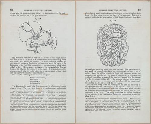 E675 - A System of Human Anatomy - 1857 - 4778-4779