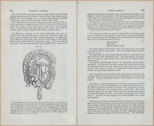 E675 - A System of Human Anatomy - 1857 - 4780-4781