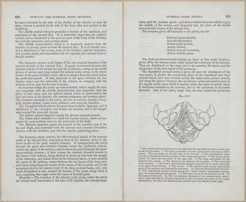 E675 - A System of Human Anatomy - 1857 - 4784-4785
