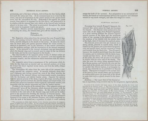 E675 - A System of Human Anatomy - 1857 - 4788-4789
