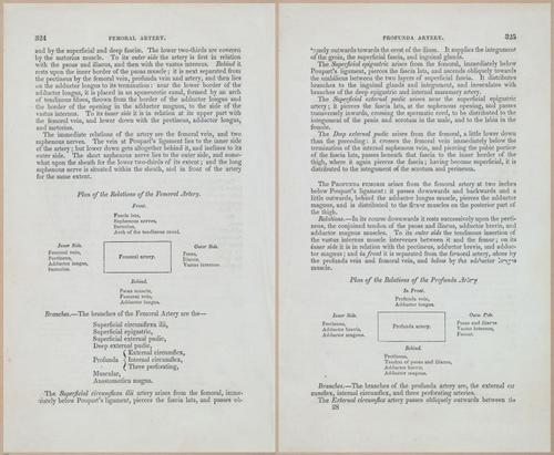 E675 - A System of Human Anatomy - 1857 - 4790-4791