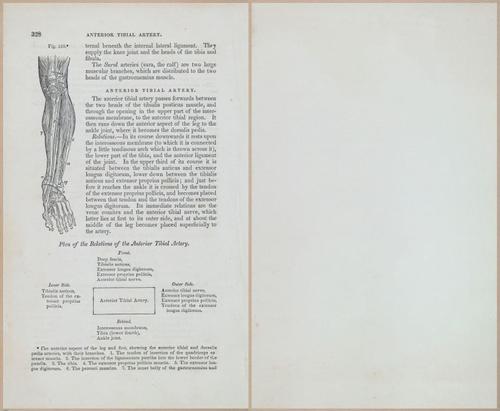 E675 - A System of Human Anatomy - 1857 - 4794