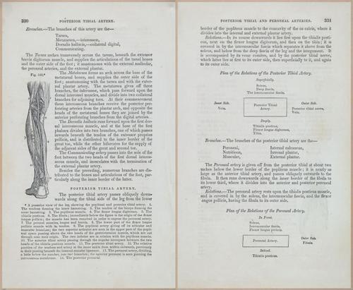 E675 - A System of Human Anatomy - 1857 - 4795-4796