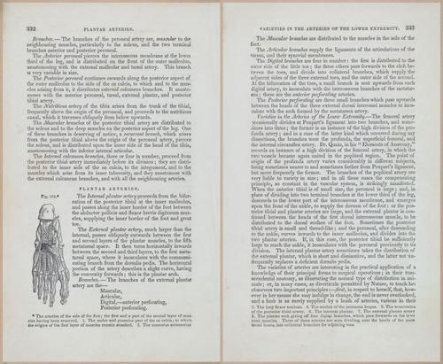 E675 - A System of Human Anatomy - 1857 - 4797-4798