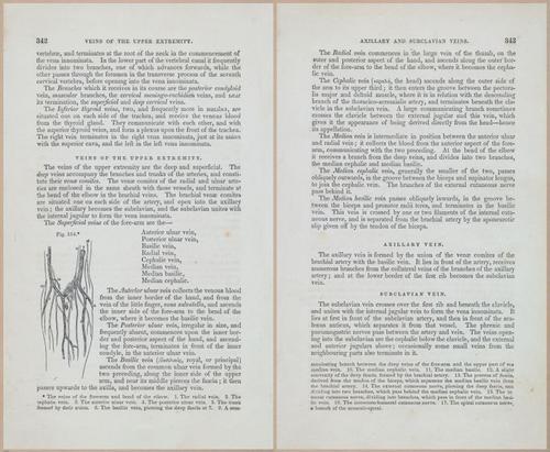 E675 - A System of Human Anatomy - 1857 - 4807-4808