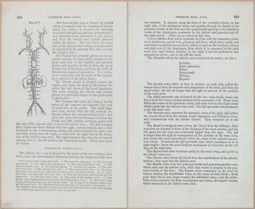 E675 - A System of Human Anatomy - 1857 - 4811-4812