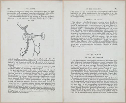 E675 - A System of Human Anatomy - 1857 - 4815-4816