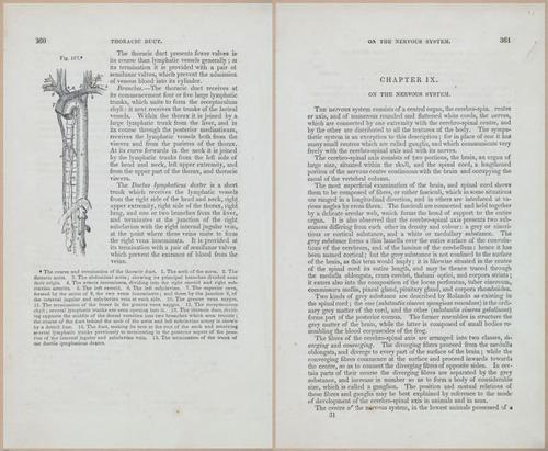 E675 - A System of Human Anatomy - 1857 - 4825-4826