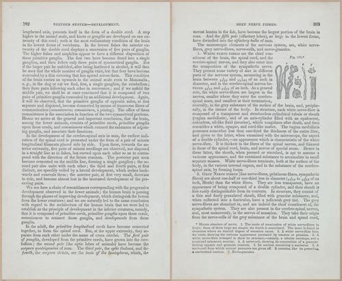 E675 - A System of Human Anatomy - 1857 - 4827-4828