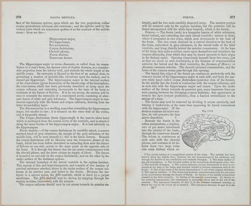 E675 - A System of Human Anatomy - 1857 - 4840-4841