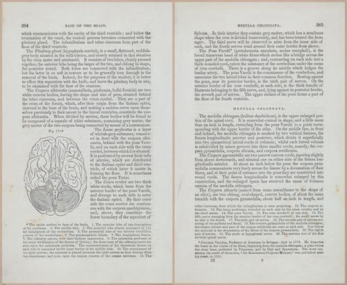 E675 - A System of Human Anatomy - 1857 - 4848-4849