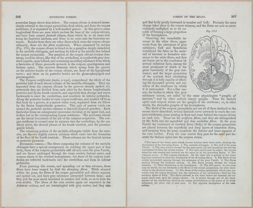 E675 - A System of Human Anatomy - 1857 - 4850-4851