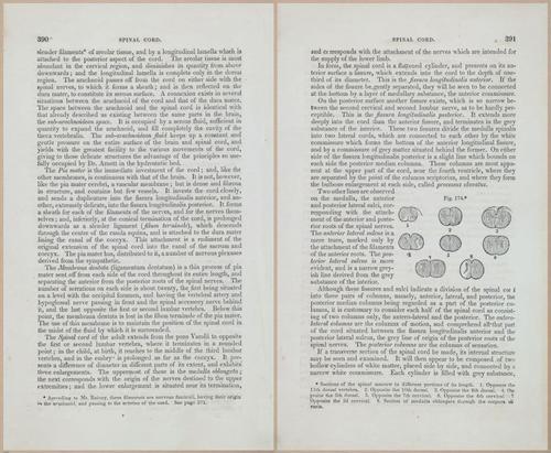 E675 - A System of Human Anatomy - 1857 - 4854-4855