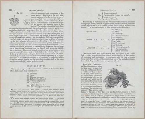 E675 - A System of Human Anatomy - 1857 - 4856-4857