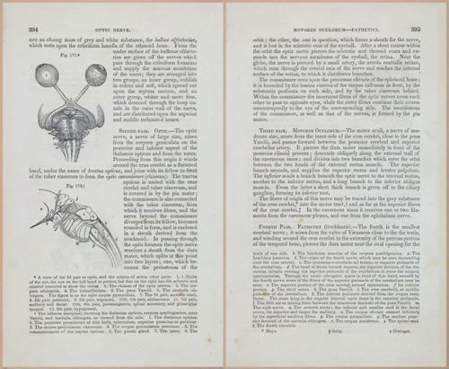 E675 - A System of Human Anatomy - 1857 - 4858-4859