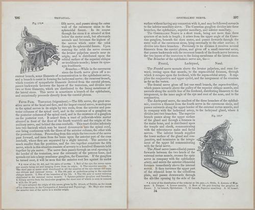 E675 - A System of Human Anatomy - 1857 - 4860-4861