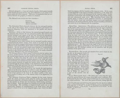 E675 - A System of Human Anatomy - 1857 - 4864-4866