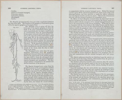 E675 - A System of Human Anatomy - 1857 - 4871-4872