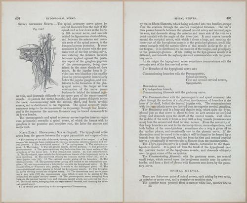 E675 - A System of Human Anatomy - 1857 - 4873-4874
