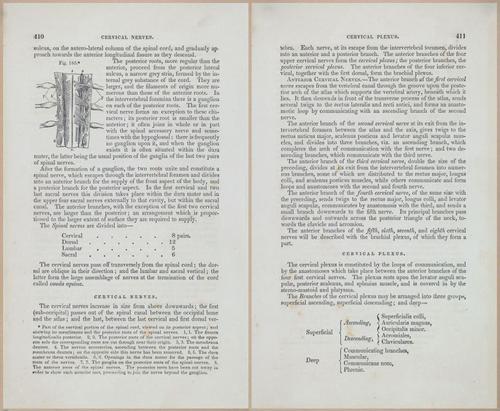 E675 - A System of Human Anatomy - 1857 - 4875-4876
