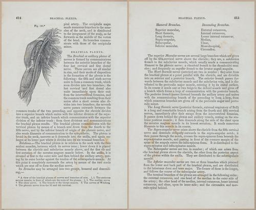 E675 - A System of Human Anatomy - 1857 - 4879-4880