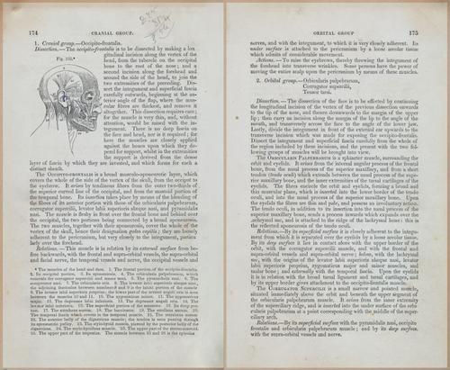 E675 - A System of Human Anatomy - 1857 - 4639-4640