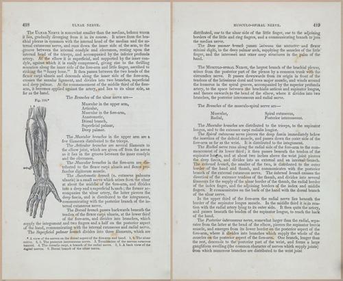 E675 - A System of Human Anatomy - 1857 - 4883-4884