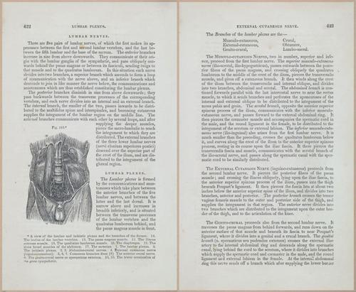 E675 - A System of Human Anatomy - 1857 - 4887-4888