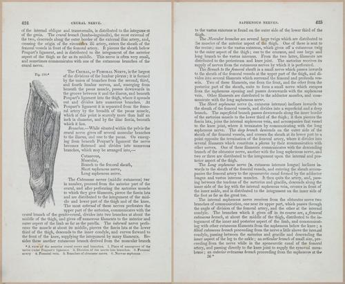 E675 - A System of Human Anatomy - 1857 - 4889-4891