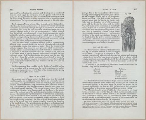 E675 - A System of Human Anatomy - 1857 - 4892-4893