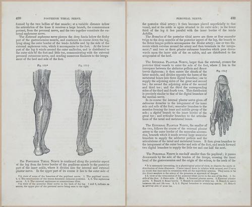 E675 - A System of Human Anatomy - 1857 - 4896-4897
