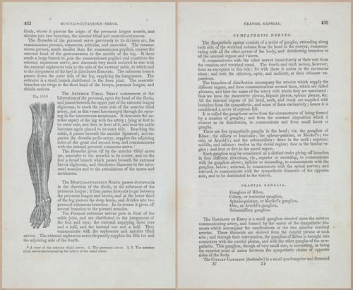 E675 - A System of Human Anatomy - 1857 - 4898-4899
