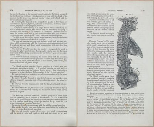 E675 - A System of Human Anatomy - 1857 - 4904-4905