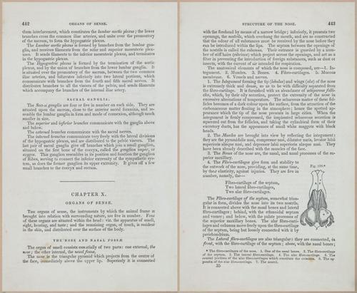 E675 - A System of Human Anatomy - 1857 - 4908-4909