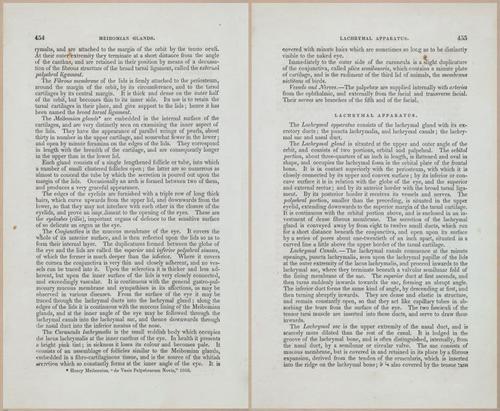 E675 - A System of Human Anatomy - 1857 - 4920-4921