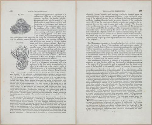 E675 - A System of Human Anatomy - 1857 - 4930-4931