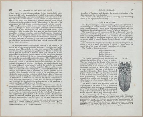 E675 - A System of Human Anatomy - 1857 - 4932-4933