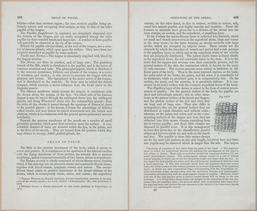 E675 - A System of Human Anatomy - 1857 - 4934-4935