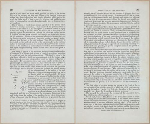 E675 - A System of Human Anatomy - 1857 - 4936-4937