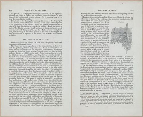 E675 - A System of Human Anatomy - 1857 - 4938-4939