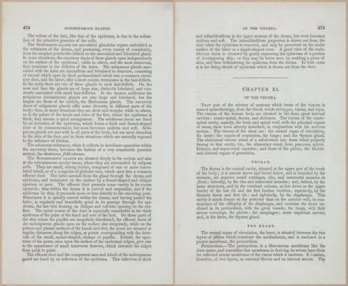 E675 - A System of Human Anatomy - 1857 - 4940-4941